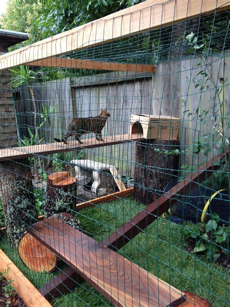 30+ Cat Enclosure For Outdoors – HomeDecorish