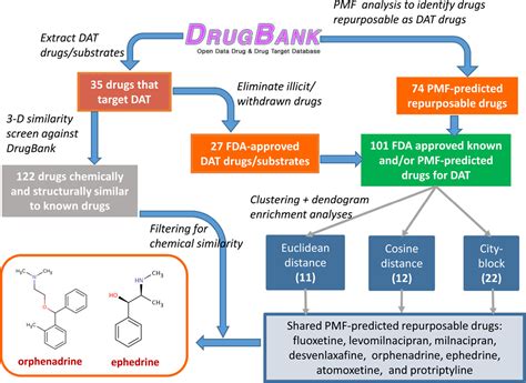 Frontiers | Insights into the Modulation of Dopamine Transporter Function by Amphetamine ...