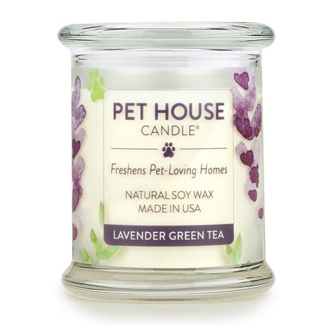 Lavender Green Tea Pet House Candle: Pet Odor Candle 100% Vegan Wax ...