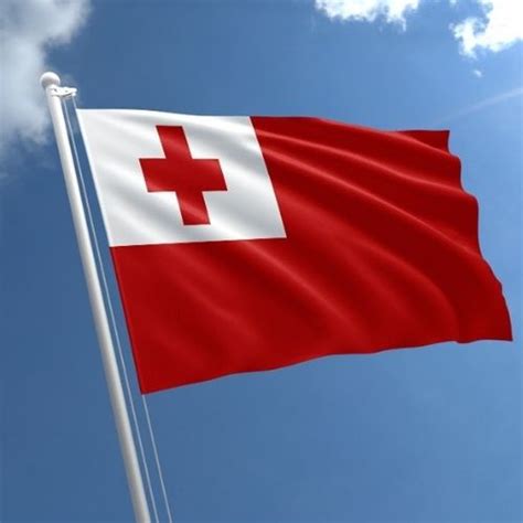 Tonga Flag- 90x150cm | Discount Party Warehouse