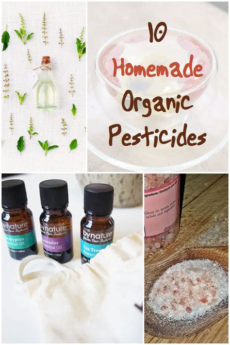 10 Homemade Organic Pesticides - SHTF Prepping & Homesteading Central