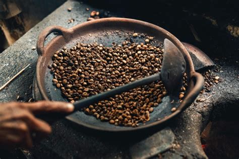 Understanding the Intricate History and Ethical Considerations of Kopi Luwak Coffe Coffee ...