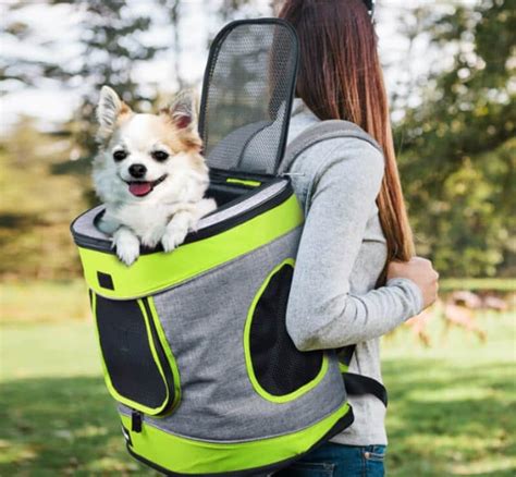 Top 34 Best Dog Backpack For Hiking 2022 - My Trail Co