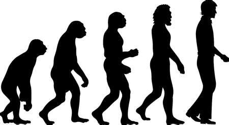Stock Illustration - Evolution from Ape to Man