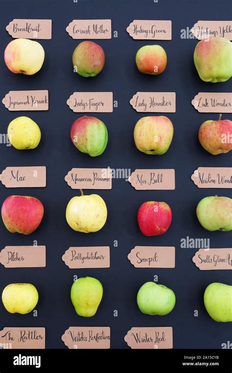 Old english apple varieties hi-res stock photography and images - Alamy