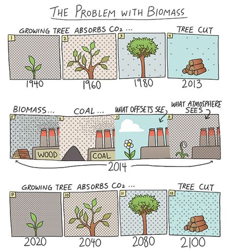 Biomass Fuel Examples