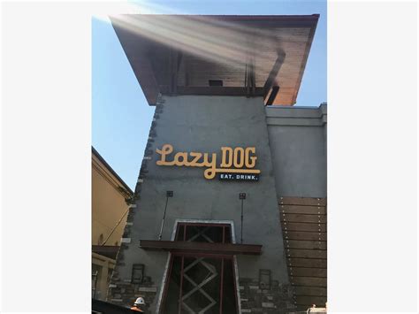 LAZY DOG RESTAURANT & BAR OPENS IN ROSEVILLE, CA On Nov. 15 | Roseville, CA Patch