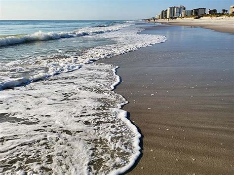 Top 3 Things to Do in Jacksonville Beach