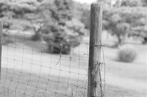 Pole Fence - Free photo on Pixabay - Pixabay