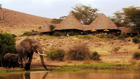 Tortilis Camp - Camp de luxe à Amboseli au Kenya - LUXeTHIKA