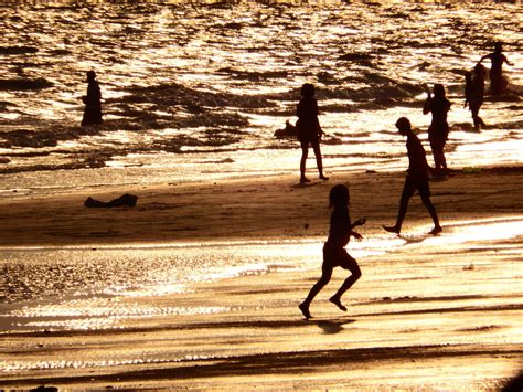 Family Plays On The Beach Free Stock Photo - Public Domain Pictures