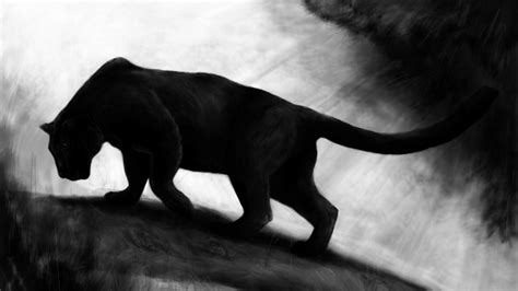 Prowess of the panther animal bigcat black tiger wildcat 31572 HD ...