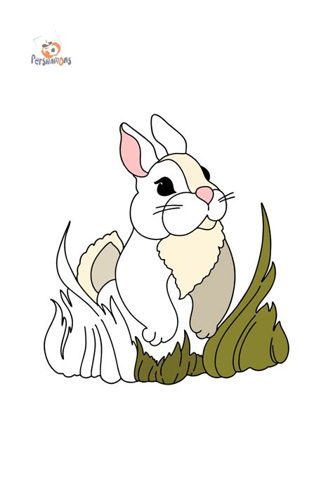 Fluffy Bunny Coloring page ♥ Online and Print for Free!