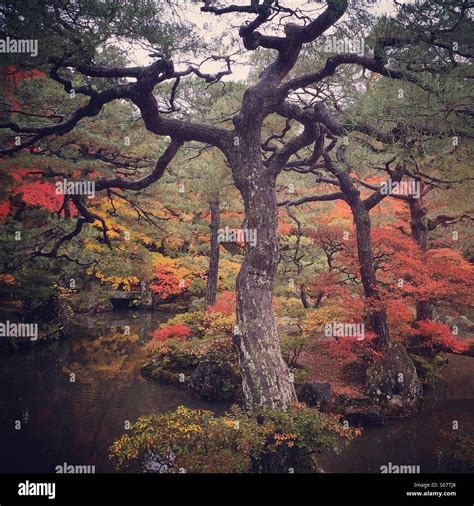 Autumn color, Ginkaku-ji Temple, Kyoto, Japan Stock Photo - Alamy