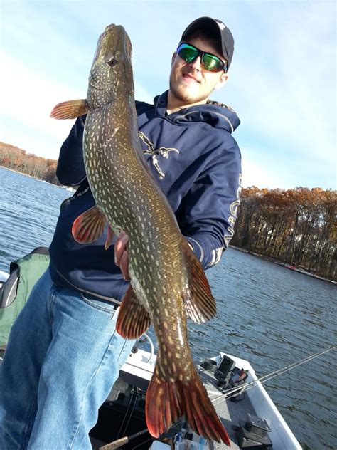 Deep Creek Lake Anglers Urged to Participate in Northern Pike Survey