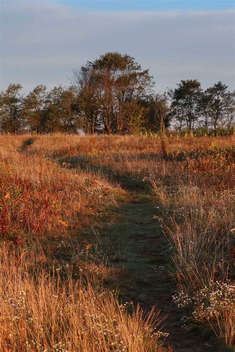 5 Short Fall Hikes in Shenandoah National Park - The National Parks ...