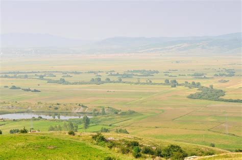 meadow landscape view 11939080 Stock Photo at Vecteezy