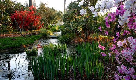 Butterfly Festival - Norfolk Botanical Garden | Botanical gardens, Lewis ginter botanical garden ...