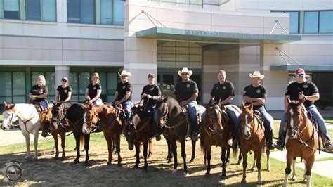 San Joaquin County Sheriff's Office - San Joaquin County Sheriff's ...