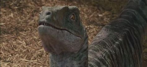 Charlie (raptor) | Jurassic Park wiki | FANDOM powered by Wikia