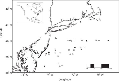 Location of sampling sites for Loligo pealeii collected from National ...