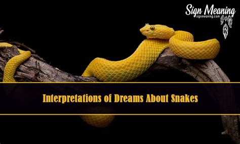 Dreams About Snakes – Meaning And Interpretation