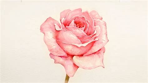 Watercolor Roses