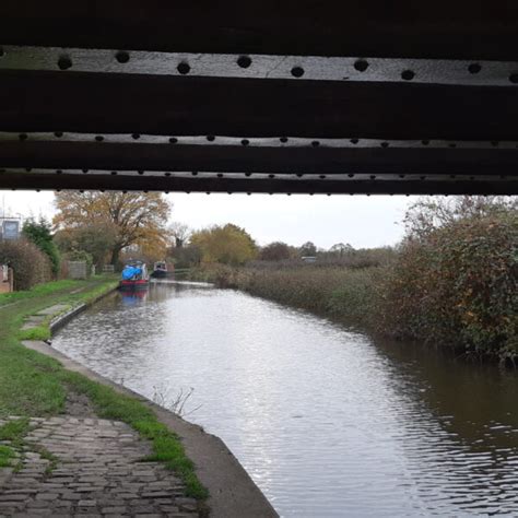 Dog walk at Trent & Mersey Canal Path (Burton) · Staffordshire · Walkiees