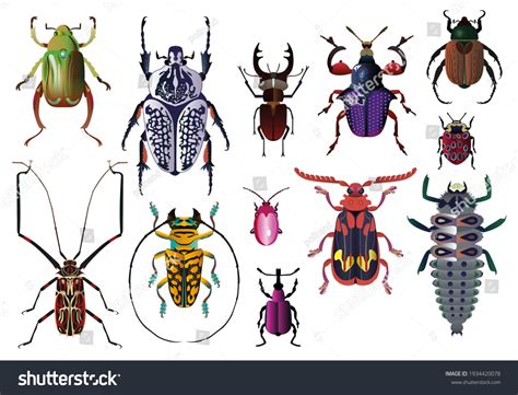 Vector Set Exotic Bugs Symmetrical Illustration Stock Vector (Royalty Free) 1934420078 ...