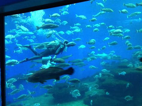 Palma Aquarium, Tickets | TicketLens