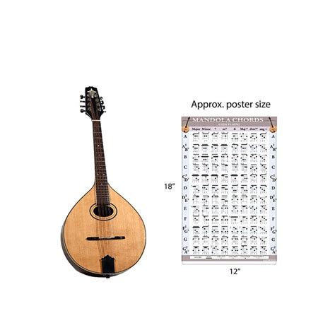 Mandola Chords and Fretboard Poster Set in CGDA Tuning | KLM