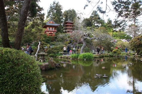 Spring is in Bloom at the Japanese Tea Garden | Marin Mommies