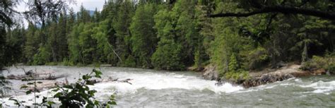 Beaver River | Camping & RVing BC