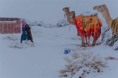 Tabuk, Saudi Arabia last week. : r/weather