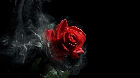 Gothic Roses Wallpaper (63+ images)