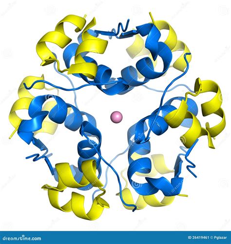 Insulin Hexamer Stock Image - Image: 26419461