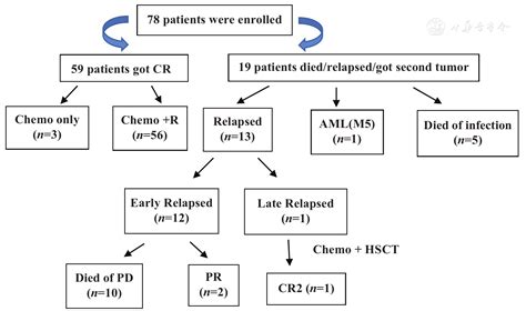 Treatment outcome in children with central nervous system-positive ...