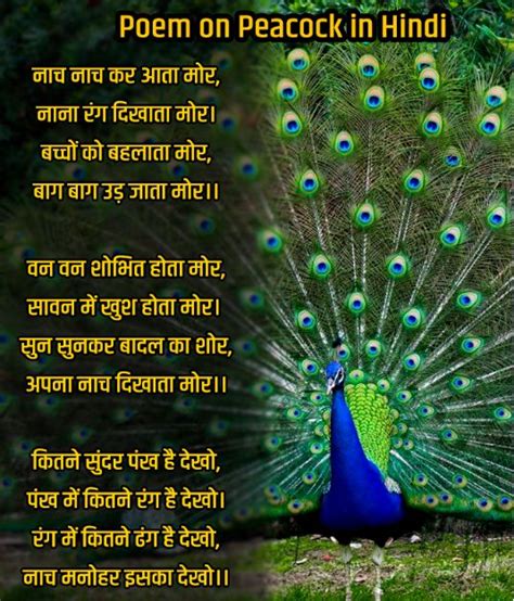 4+ Poem on Peacock in Hindi - मोर पर कविता