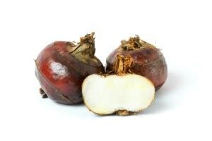 Recipes Using Water Chestnuts | ThriftyFun