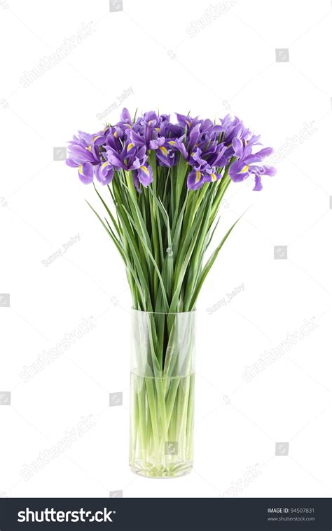 Close-Up Of A Beautiful Bouquet Of Purple Irises In A Glass Vase. Isolated On White Background ...