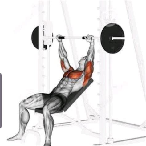 Incline Bench Press ( Smith ) by David M. - Exercise How-to - Skimble