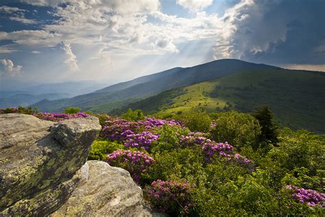 4 of the Best Hiking Trails in Tennessee for Spring's Colors ...