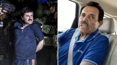 Here's who is left to lead the Sinaloa Cartel after El…