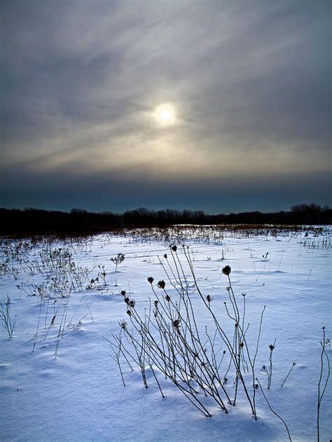 Frozen Tundra by Phil Koch | Landscape photography nature, Arctic tundra, Winter landscape