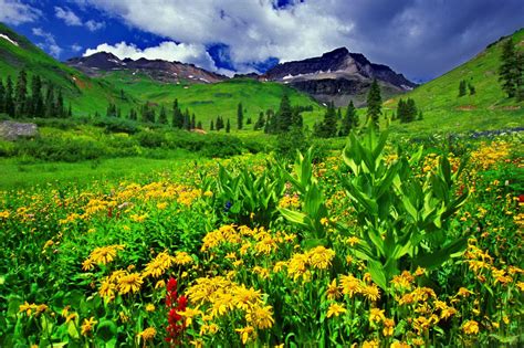 Mountain Greenery wallpaper | nature and landscape | Wallpaper Better