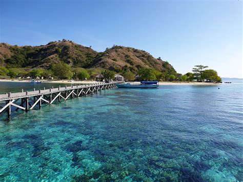 Snorkeling di Pulau Kanawa, Labuan Bajo – tripflores.com