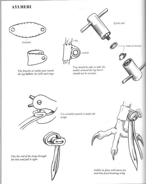 Falconry equipment, Falconry, Falcon hunting