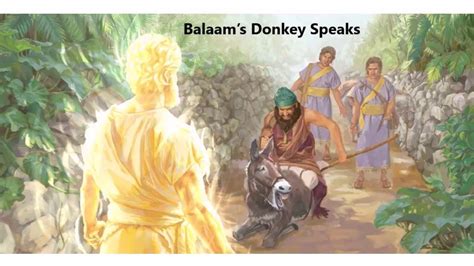 Balaam’s Donkey Speaks - YouTube