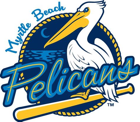 transparent myrtle beach pelicans logo - Clip Art Library