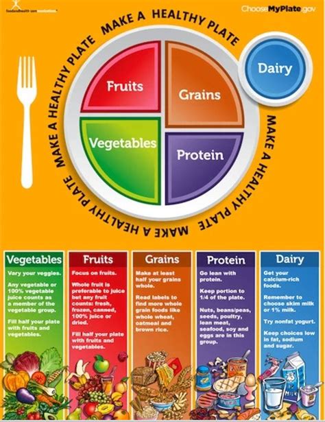 My Plate Poster - MyPlate Poster | Healthy plate, Nutrition poster, Nutrition education